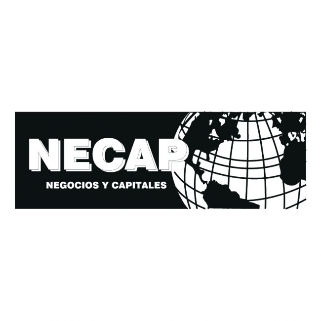 NECAP Negocios y Capitales