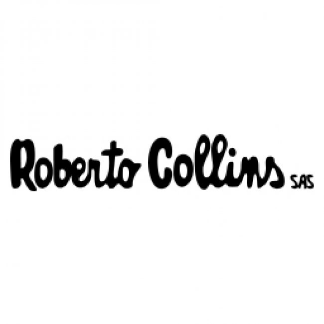 Inmobiliaria Roberto Collins